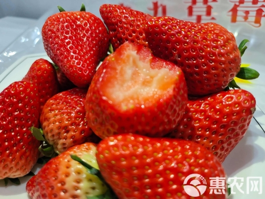 赤峰草莓團購電話多少號碼-第1張圖片