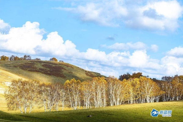 赤峰林木購(gòu)銷中心電話是多少號(hào)-第1張圖片