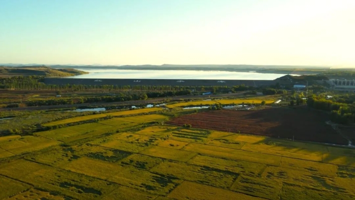 赤峰出售秧苗電話號碼是多少號-第1張圖片