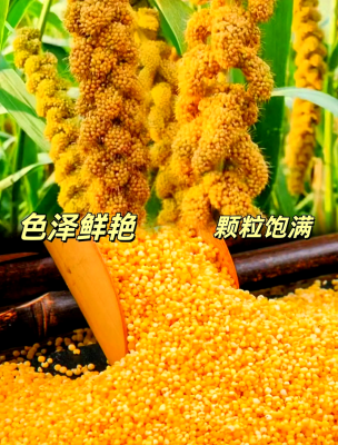 赤峰賣小米的地方電話是多少號(hào)-第1張圖片