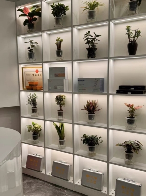 赤峰踩耳朵采耳店地址電話號(hào)碼-第1張圖片