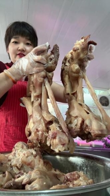 赤峰五香甲魚電話號(hào)碼多少-第1張圖片