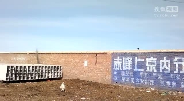 赤峰萌寵山莊電話多少啊-第1張圖片