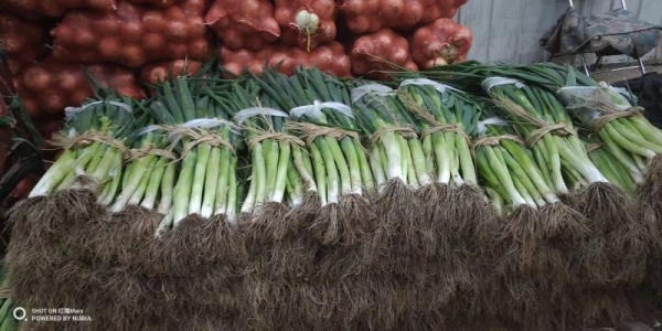 赤峰市蔬菜配送平臺(tái)電話號(hào)碼-第1張圖片