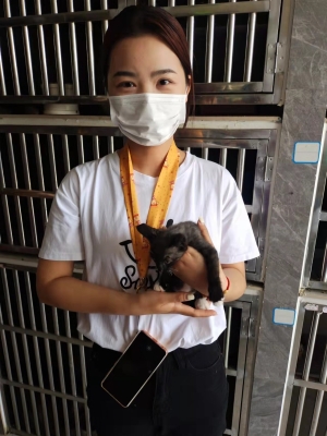 赤峰寵物 救助站電話號碼是多少-第1張圖片