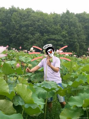 赤峰市采花大盜電話地址查詢-第1張圖片