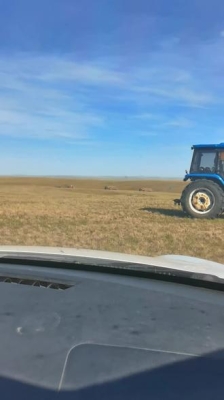 赤峰市天山休閑吧電話號碼-第1張圖片