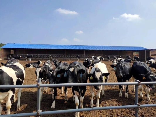 赤峰到汐子客車電話號碼查詢-第1張圖片