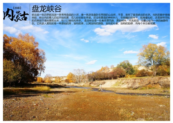 赤峰收購(gòu)曲麻菜廠家電話號(hào)碼-第1張圖片