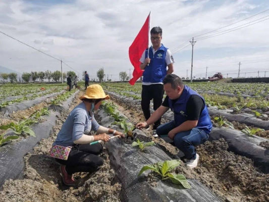 赤峰煙農(nóng)化肥廠電話地址查詢-第1張圖片