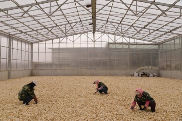 赤峰牛營(yíng)子酒店電話號(hào)碼多少-第1張圖片