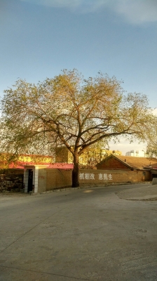 赤峰左旗大磊探房電話地址查詢-第1張圖片