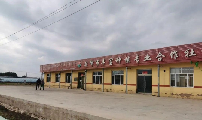 赤峰人工飼草種植基地電話號(hào)碼-第1張圖片