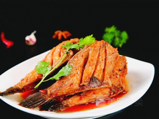 赤峰觀賞魚館電話多少號-第1張圖片