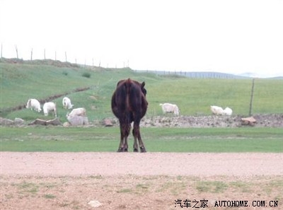 赤峰去北京的長途車電話是多少-第1張圖片