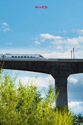 赤峰眾航裝潢公司地址電話(huà)號(hào)碼-第1張圖片