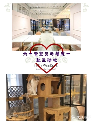 赤峰市寵物樂園團購電話號碼-第1張圖片