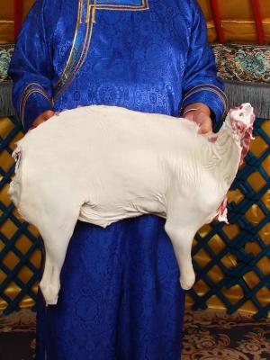 赤峰市整羊分割廠電話號碼-第1張圖片