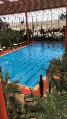 赤峰市小狗游泳館電話號(hào)碼-第1張圖片