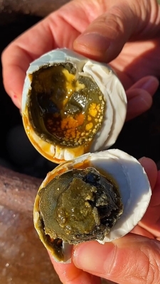 赤峰賣臭鴨蛋的電話號(hào)碼是多少-第1張圖片