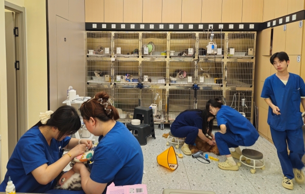 赤峰有寵物醫(yī)院嗎-第1張圖片