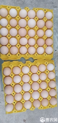 赤峰市雞蛋廠電話號(hào)碼多少-第1張圖片