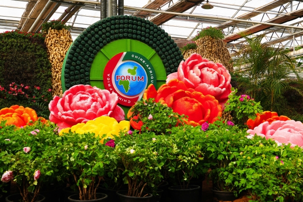 赤峰市雨露眾德怎樣-第1張圖片