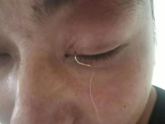 赤峰手綁?mèng)~鉤廠家電話地址查詢-第1張圖片