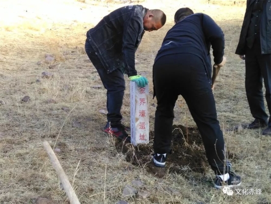 赤峰賣小狗崽電話號(hào)碼多少號(hào)-第1張圖片