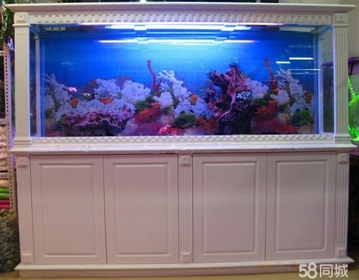 赤峰寄養(yǎng)觀賞魚基地電話號碼-第1張圖片