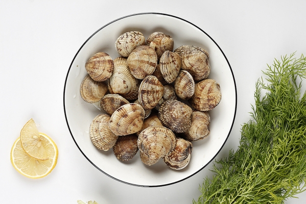 赤峰海貝爾桌球廳電話號(hào)碼多少-第1張圖片