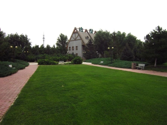 赤峰植物園駕校電話是多少號-第1張圖片