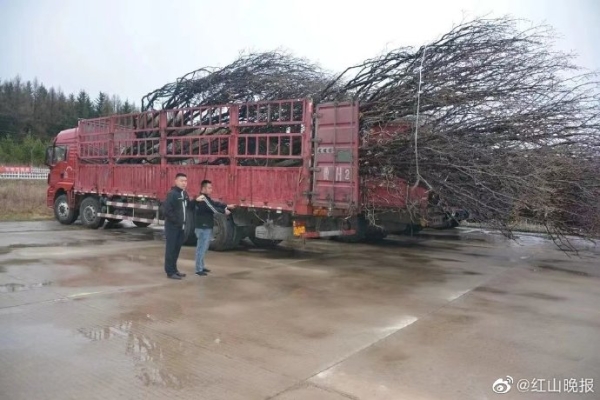 赤峰好用挖溝機(jī)廠家電話號碼-第1張圖片