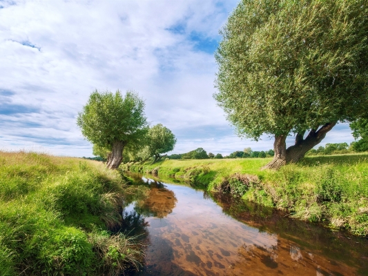 赤峰樹云農(nóng)家院電話地址查詢-第1張圖片