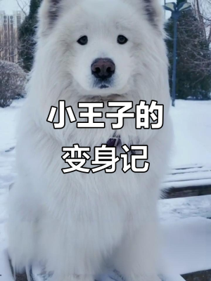 天津到赤峰客運(yùn)專線電話號碼-第1張圖片