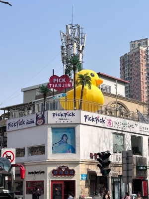 赤峰復(fù)古照相館電話號碼多少-第1張圖片