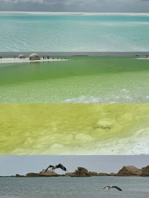 赤峰解放營(yíng)拼車電話號(hào)碼查詢-第1張圖片