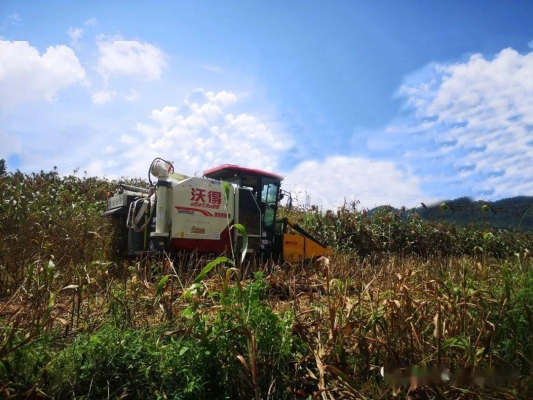 赤峰高粱收割機銷售電話號碼-第1張圖片