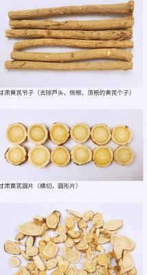 赤峰市黃芪苗子銷售價(jià)-第1張圖片