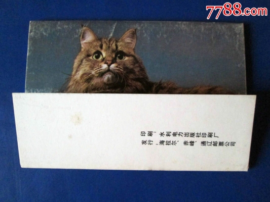 赤峰鼠標(biāo)維修電話號碼是多少號-第1張圖片