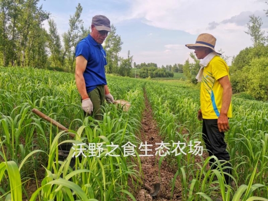 赤峰旅游農(nóng)場地址電話查詢號碼-第1張圖片