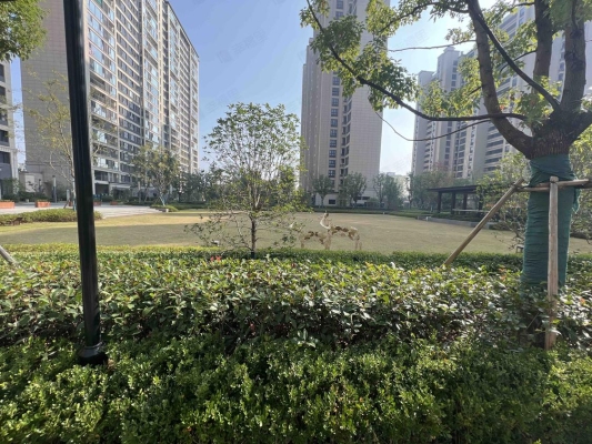 赤峰公共籃球場(chǎng)新城店電話號(hào)碼-第1張圖片