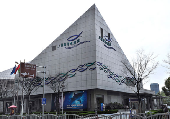 赤峰雨潤水族館電話多少號-第1張圖片