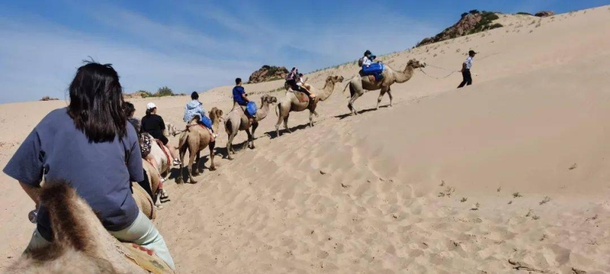 赤峰賣滑沙板的地方電話號碼-第1張圖片