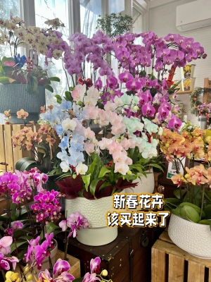 赤峰新天地鮮花店電話號碼-第1張圖片