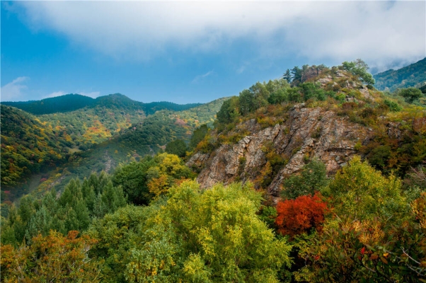 赤峰美林谷拼車電話號碼查詢-第1張圖片