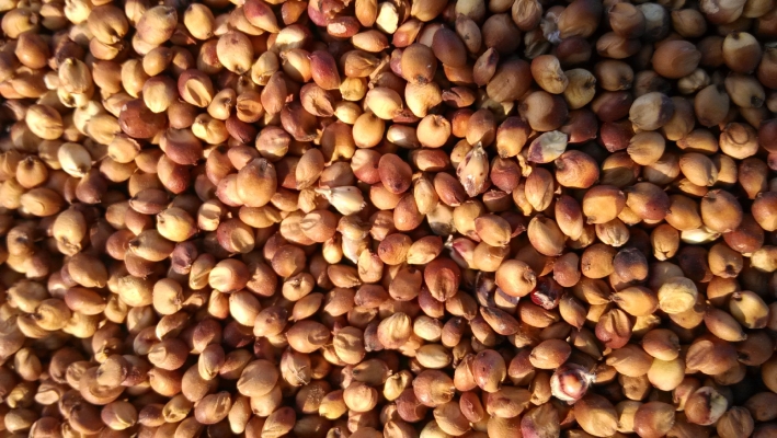 赤峰市敖漢旗瓶子批發(fā)電話號(hào)碼-第1張圖片