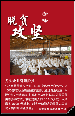 赤峰寵物租賃平臺電話號碼多少-第1張圖片