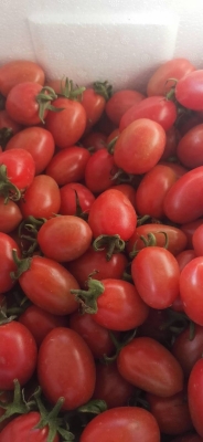 赤峰蘭姐櫻桃店電話號碼查詢-第1張圖片