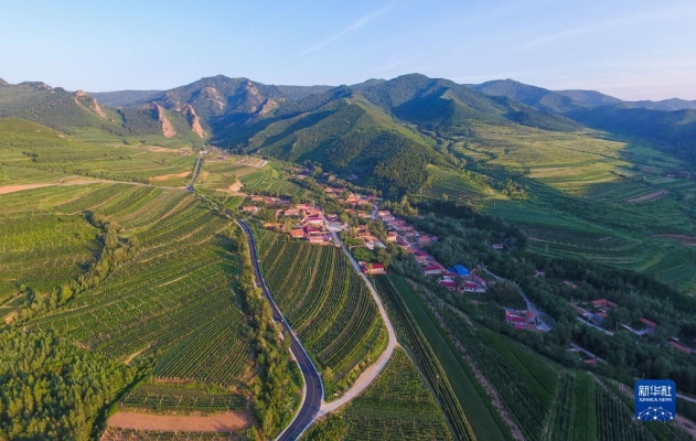 赤峰市馬架子村書(shū)記電話(huà)號(hào)碼-第1張圖片